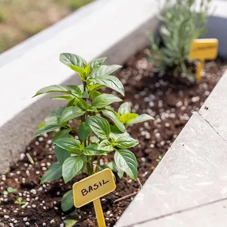 Casa de Férias The Olympus Estate Litochoro