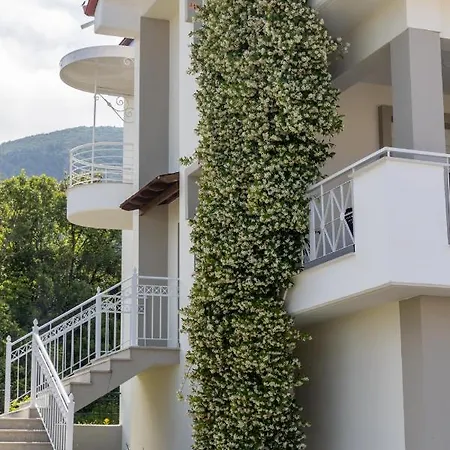 The Olympus Estate 度假居 *